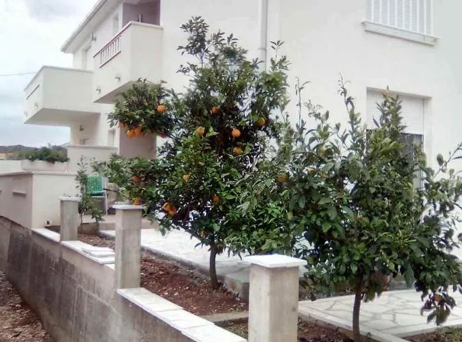 S&m Drače
