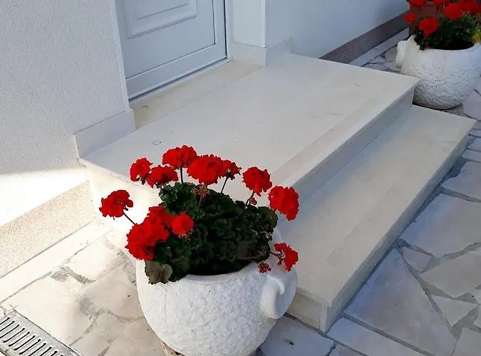 S&m * Drače